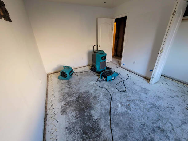 Best Flood restoration services  in Jonesboro, IN