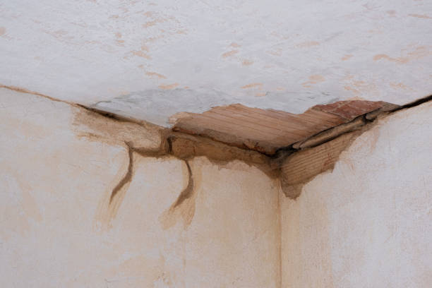 Best Sewage cleanup and water damage restoration  in Jonesboro, IN