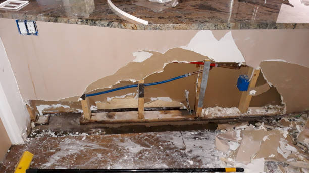 Best Water damage restoration near me  in Jonesboro, IN