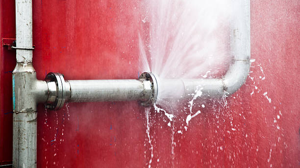 Best Mold removal after water damage  in Jonesboro, IN