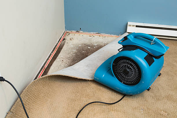 Best Professional water damage repair  in Jonesboro, IN