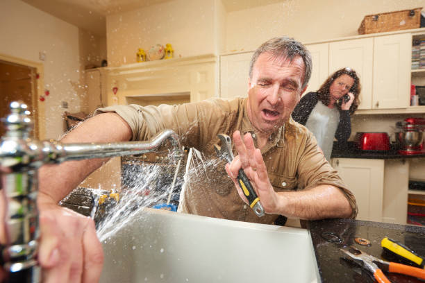 Best Flooded house restoration  in Jonesboro, IN